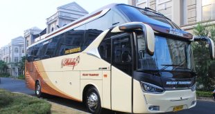 bus pariwisata Jakarta