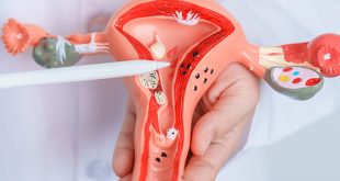 Sistem Reproduksi Wanita, Apa Saja yang Harus Rutin Dicek?